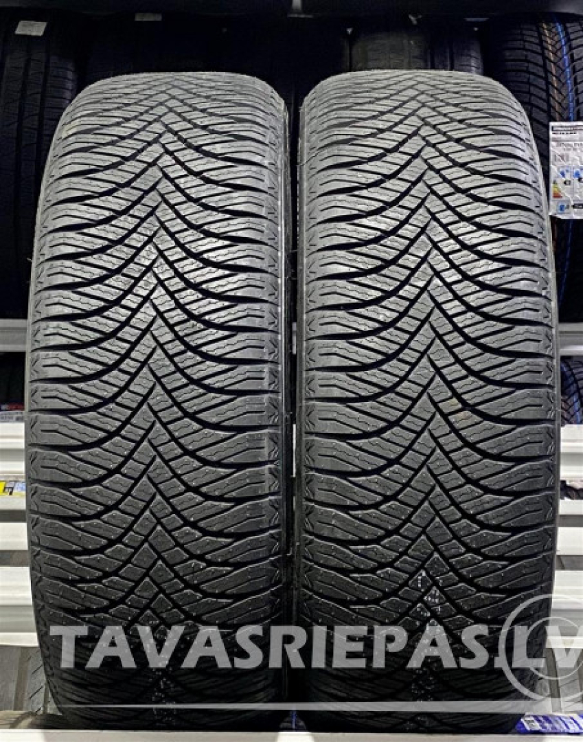 Goodride All Season Elite Z-401 205/55R17 95 V