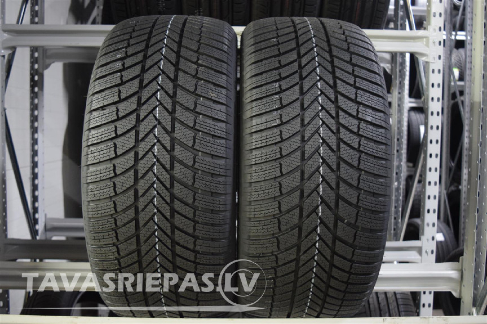 Bridgestone BLIZZAK LM005 285/40R21 109 V Lamellrehvid