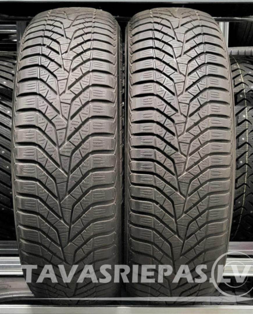 Yokohama BluEarth Winter V905 215/65R17 99 V Lamellrehvid