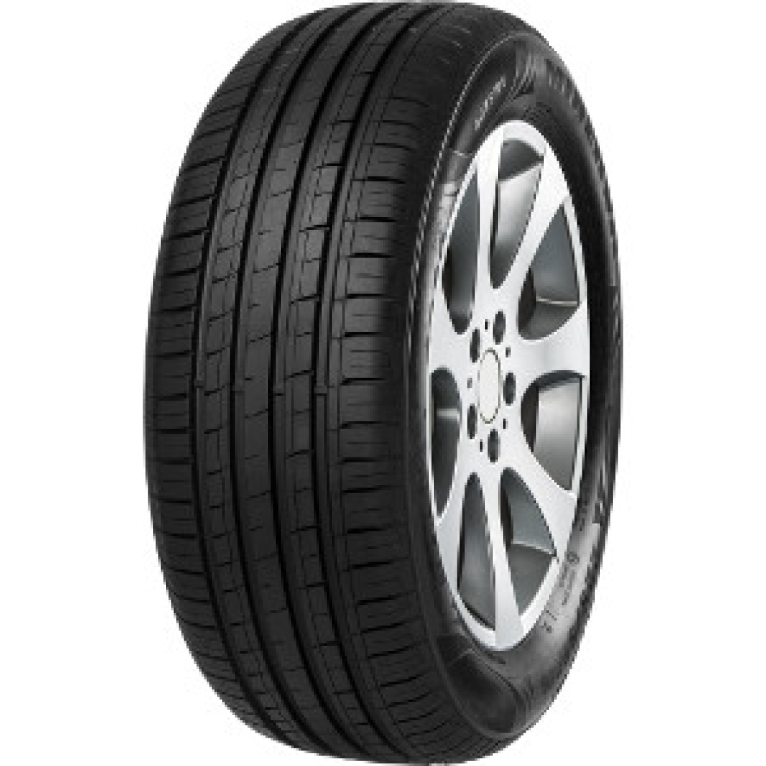 Minerva F209 205/55R16 91 V Summer tires