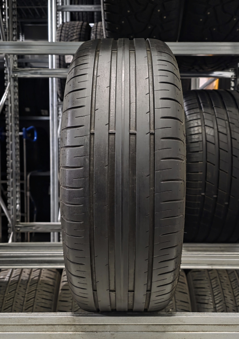 Goodyear Efficient Grip Performance 205/55R16 91 V AO