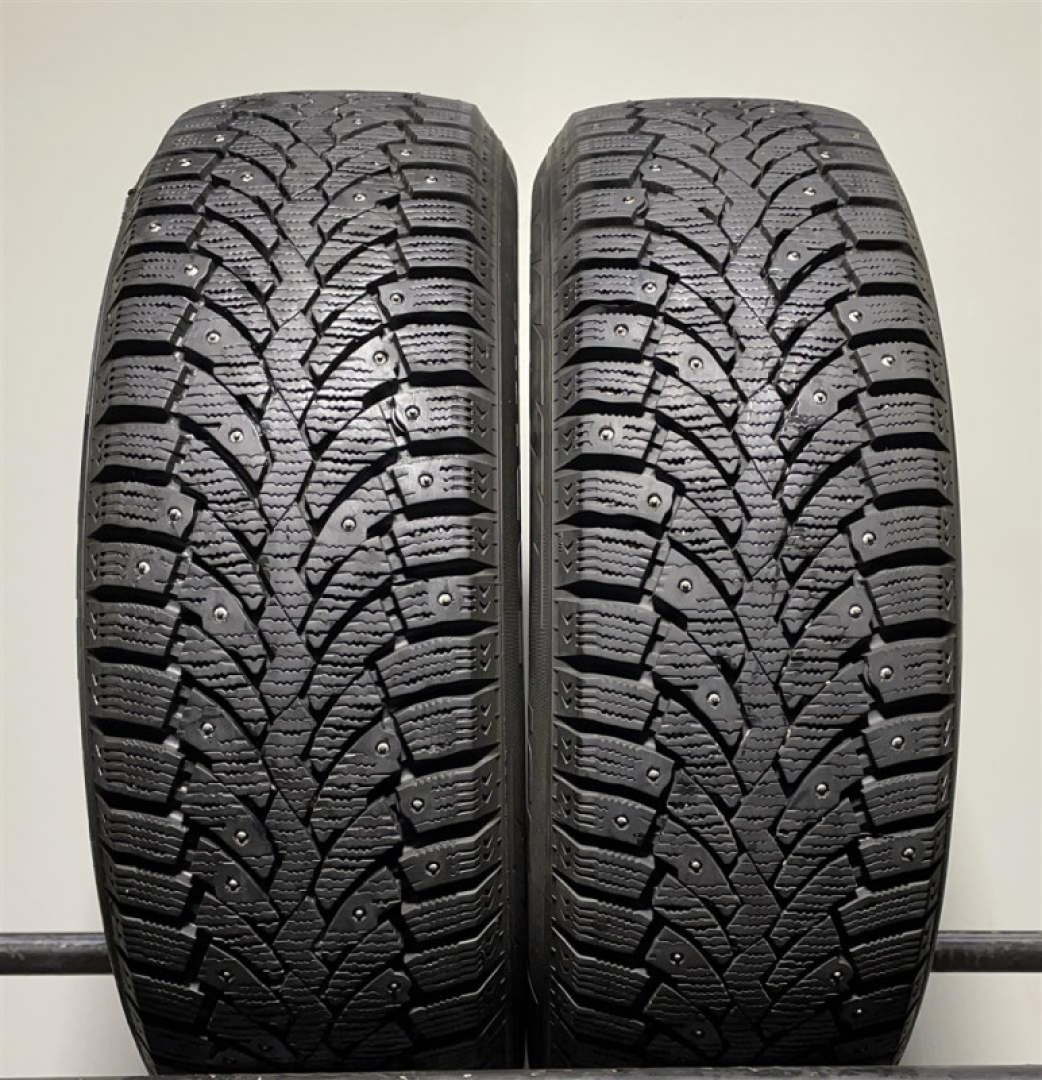 Formula Ice 195/65R15 91 T
