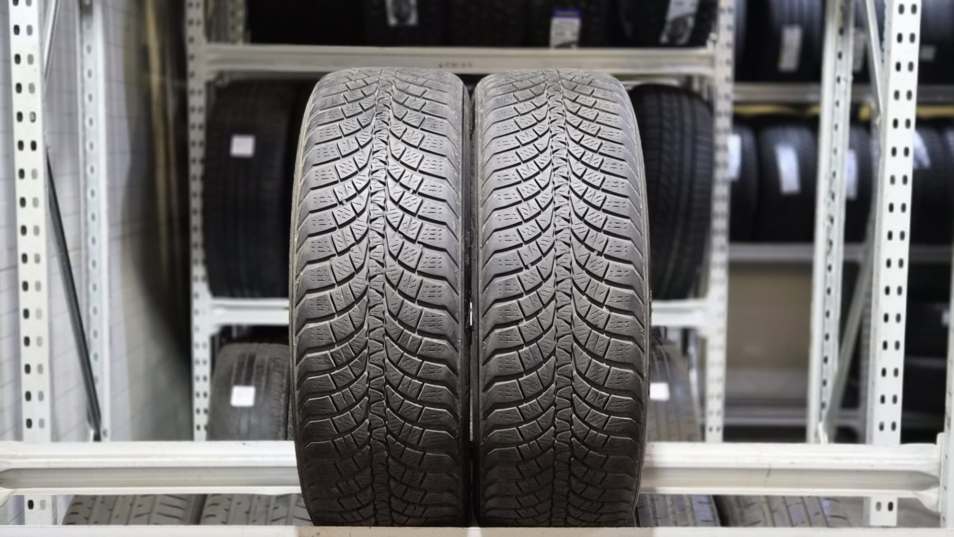 Marshal MW51 205/55R17 95 V Friction tires