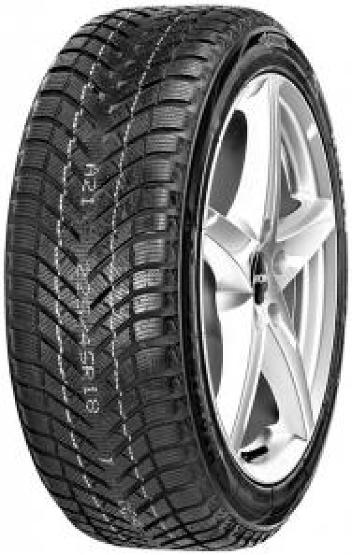 Neolin NeoWinter 205/55R16 91 V Friction tires