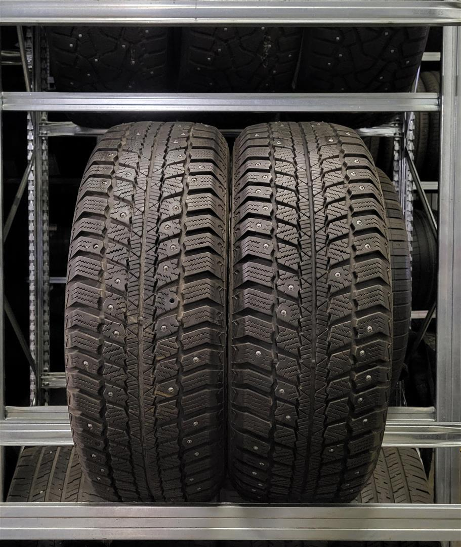 Barum Nord Polaris 205/65R15 96 Q Naastrehvid