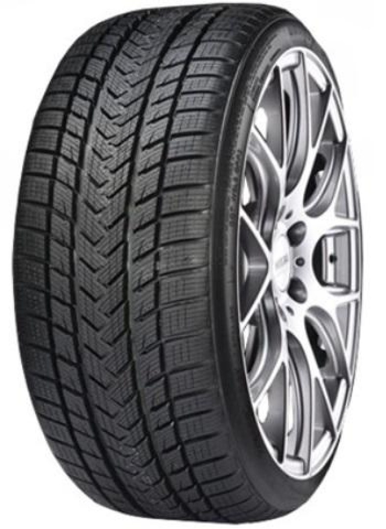 Gripmax PRO WINTER 255/40R22 103 V Friction tires