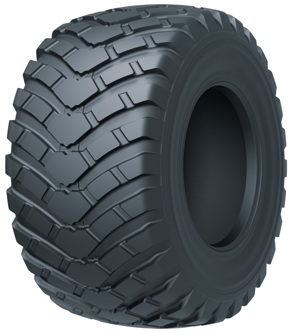TIANLI R-KING STEEL BELT 800/45R26.5 174 D Aastaringsed rehvid