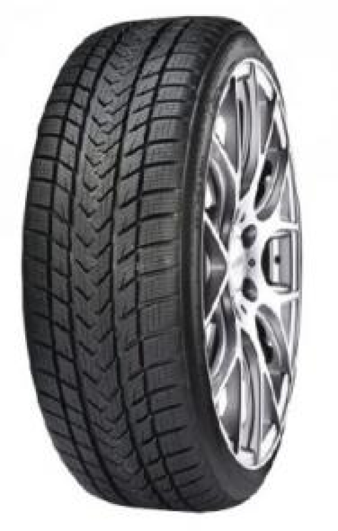 Gripmax SUREGRIP PRO WINTER 285/30R19 98 V RP