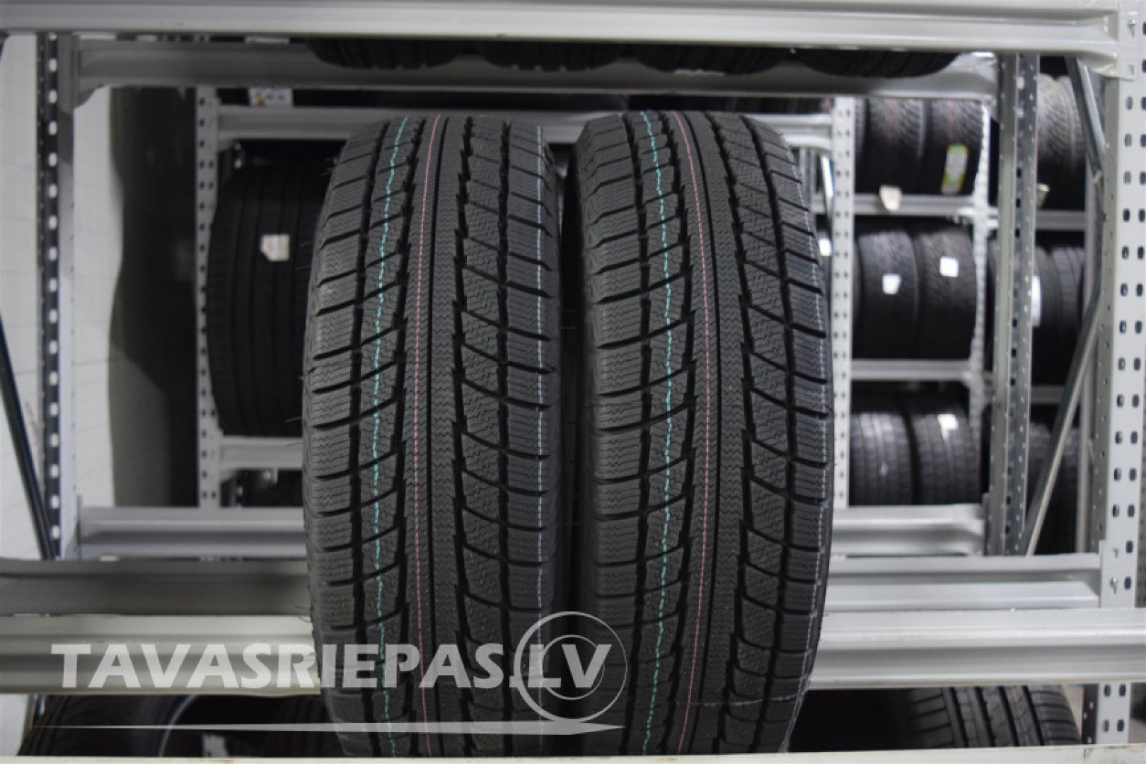 Triangle Snow Lion TR777 175/70R14 88 T
