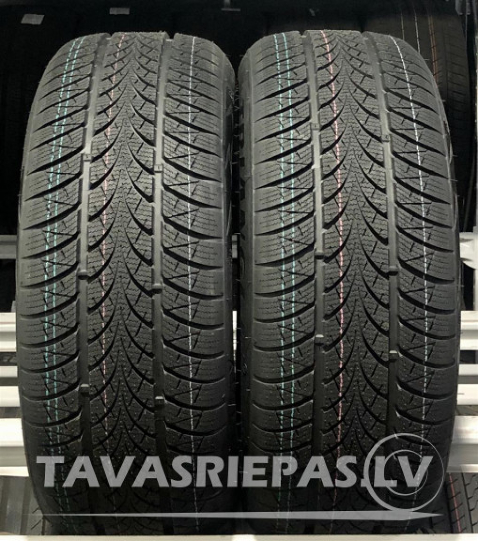 Triangle WinterX TW401 205/55R19 97 V Friction tires