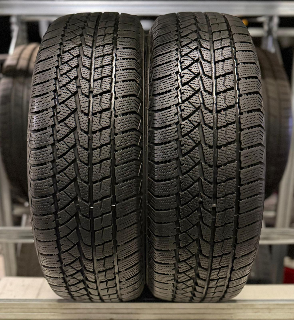 Double Star Winterking DWO2 245/65R17 107 S Ламельные шины