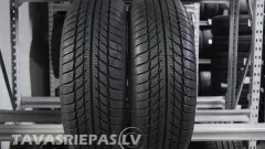 GOODRIDE SW608